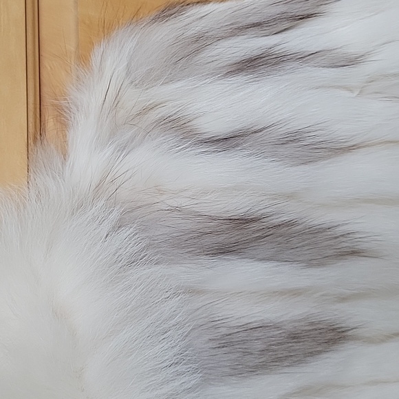 Saga Blue & Shadow Fox jacket - Picture 4 of 8